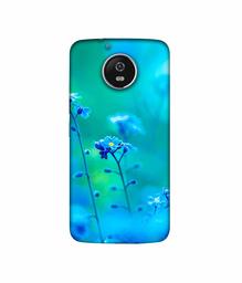 Amazon Brand - Solimo Designer Blue Flower 3D Printed Hard Back Case Mobile Cover for Motorola Moto G5