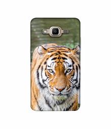 Amazon Brand - Solimo Designer Tiger in Water 3D Printed Hard Back Case Mobile Cover for Samsung Galaxy J2 Prime