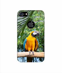 Amazon Brand - Solimo Designer Macaw Bird 3D Printed Hard Back Case Mobile Cover for Apple iPhone 7 (with Logo Cut)