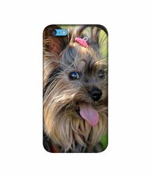 Amazon Brand - Solimo Designer Hairy Puppy 3D Printed Hard Back Case Mobile Cover for Apple iPhone 5C