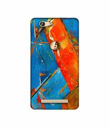 Amazon Brand - Solimo Designer Sky Blue and Orange Canvas 3D Printed Hard Back Case Mobile Cover for Gionee F103 Pro