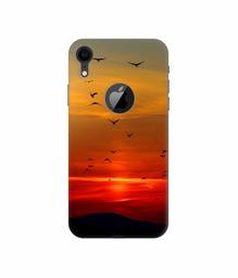 Amazon Brand - Solimo Designer Group Birds 3D Printed Hard Back Case Mobile Cover for Apple iPhone XR (Logo Cut)