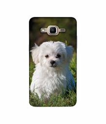 Amazon Brand - Solimo Designer White Dog 3D Printed Hard Back Case Mobile Cover for Samsung Galaxy J2 Prime