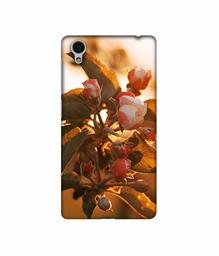 Amazon Brand - Solimo Designer Flowers 3D Printed Hard Back Case Mobile Cover for Vivo Y51L