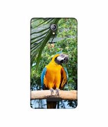 Amazon Brand - Solimo Designer Macaw Bird 3D Printed Hard Back Case Mobile Cover for Micromax Canvas Pace 4G Q416