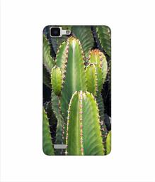 Amazon Brand - Solimo Designer Desert Plant 3D Printed Hard Back Case Mobile Cover for Vivo Y27L