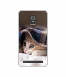 Amazon Brand - Solimo Designer Sleepy Kitten UV Printed Soft Back Case Mobile Cover for Lenovo A6600