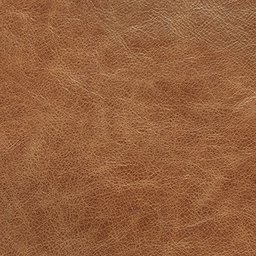 Rivet Cognac Swatch, Rivet