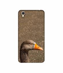 Amazon Brand - Solimo Designer Duck Face 3D Printed Hard Back Case Mobile Cover for Oppo A37