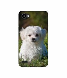 Amazon Brand - Solimo Designer White Dog UV Printed Soft Back Case Mobile Cover for LG Q6