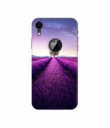 Amazon Brand - Solimo Designer Farm Photography 3D Printed Hard Back Case Mobile Cover for Apple iPhone XR (Logo Cut)