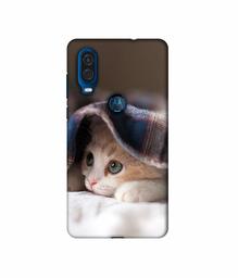 Amazon Brand - Solimo Designer Sleepy Kitten 3D Printed Hard Back Case Mobile Cover for Motorola One Vision