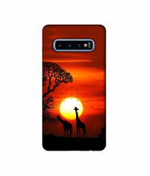 Amazon Brand - Solimo Designer Sunshade 3D Printed Hard Back Case Mobile Cover for Samsung Galaxy S10 Plus