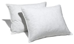 Pinzon Feather and Down 2-Pack Pillow