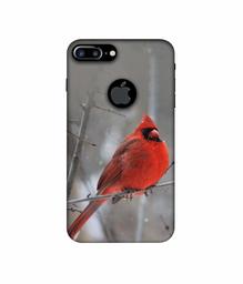 Amazon Brand - Solimo Designer Red Engry Bird 3D Printed Hard Back Case Mobile Cover for Apple iPhone 7 Plus (Logo Cut)