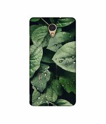 Amazon Brand - Solimo Designer Leafs 3D Printed Hard Back Case Mobile Cover for Lenovo P2