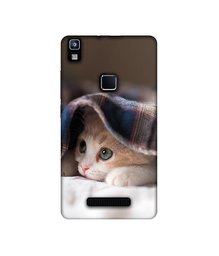 Amazon Brand - Solimo Designer Sleepy Kitten UV Printed Soft Back Case Mobile Cover for Lava Z80