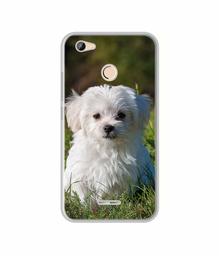 Amazon Brand - Solimo Designer White Dog UV Printed Soft Back Case Mobile Cover for Micromax Canvas Unite 4 Pro Q465