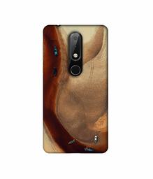 Amazon Brand - Solimo Designer Sea Seen 3D Printed Hard Back Case Mobile Cover for Nokia 6.1 Plus