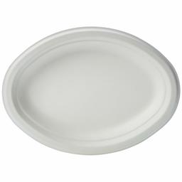 AmazonBasics Compostable Plate, 10 x 7.5 Inches, 500 Plates