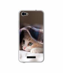 Amazon Brand - Solimo Designer Sleepy Kitten UV Printed Soft Back Case Mobile Cover for Lava Z61