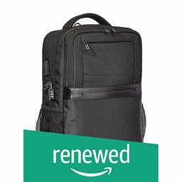 (Renewed) AmazonBasics Anti-Theft Premium Backpack - Black