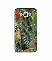 Amazon Brand - Solimo Designer Cactus 3D Printed Hard Back Case Mobile Cover for Samsung Galaxy E7