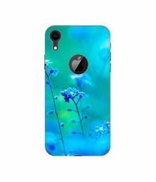 Amazon Brand - Solimo Designer Blue Flower 3D Printed Hard Back Case Mobile Cover for Apple iPhone XR (Logo Cut)