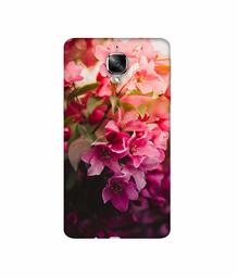 Amazon Brand - Solimo Designer Blossom Weather 3D Printed Hard Back Case Mobile Cover for OnePlus 3 / OnePlus 3T