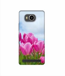 Amazon Brand - Solimo Designer Pink Lily 3D Printed Hard Back Case Mobile Cover for Lenovo A7700