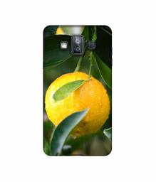 Amazon Brand - Solimo Designer Lemon 3D Printed Hard Back Case Mobile Cover for Samsung Galaxy J7 Duo