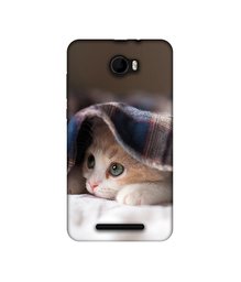 Amazon Brand - Solimo Designer Sleepy Kitten UV Printed Soft Back Case Mobile Cover for Karbonn K9 Viraat