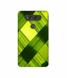 Amazon Brand - Solimo Designer Leafs Texture 3D Printed Hard Back Case Mobile Cover for LG V20