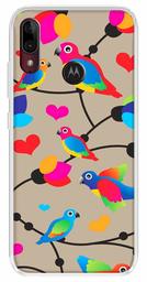 Amazon Brand - Solimo Designer Multicolor Flycatchers Birds Bronze Patterns Design Printed Soft Back Case Mobile Cover for Motorola Moto E6s / Motorola Moto E6 Plus