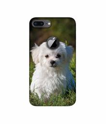 Amazon Brand - Solimo Designer White Dog 3D Printed Hard Back Case Mobile Cover for Apple iPhone 8 Plus (with Logo Cut)