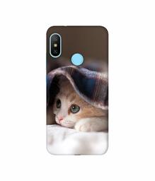 Amazon Brand - Solimo Designer Sleepy Kitten 3D Printed Hard Back Case Mobile Cover for Mi Redmi Note 6 Pro