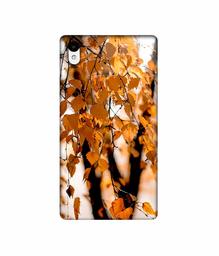 Amazon Brand - Solimo Designer Autumn Photography 3D Printed Hard Back Case Mobile Cover for Sony Xperia Z2