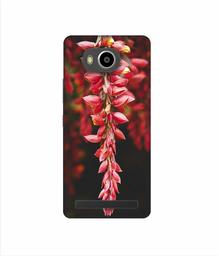 Amazon Brand - Solimo Designer Flowers Photograpy 3D Printed Hard Back Case Mobile Cover for Lenovo A7700