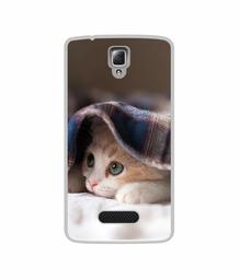 Amazon Brand - Solimo Designer Sleepy Kitten UV Printed Soft Back Case Mobile Cover for Lenovo A2010