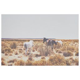 Amazon Brand – Rivet Canvas Print Wall Art of Horses Grazing in Desert Southwest Desert, 60