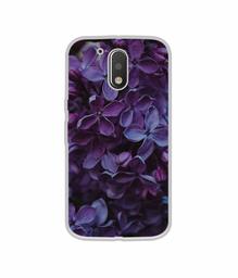 Amazon Brand - Solimo Designer Purple Flowers UV Printed Soft Back Case Mobile Cover for Motorola Moto G4 Plus