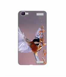 Amazon Brand - Solimo Designer Bird 3D Printed Hard Back Case Mobile Cover for Vivo V1 Max