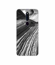 Amazon Brand - Solimo Designer Nature 3D Printed Hard Back Case Mobile Cover for Oppo F11 Pro