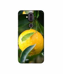 Amazon Brand - Solimo Designer Lemon 3D Printed Hard Back Case Mobile Cover for Nokia 8.1