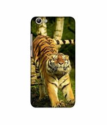 Amazon Brand - Solimo Designer Tiger 3D Printed Hard Back Case Mobile Cover for Vivo Y69