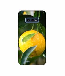 Amazon Brand - Solimo Designer Lemon 3D Printed Hard Back Case Mobile Cover for Samsung Galaxy S10e