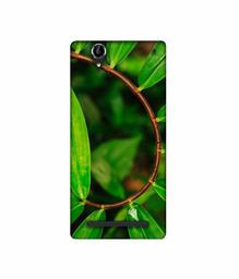 Amazon Brand - Solimo Designer Leaf Photography 3D Printed Hard Back Case Mobile Cover for Sony Xperia T2 Ultra