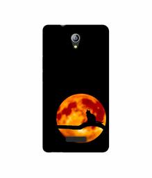 Amazon Brand - Solimo Designer Dark Black Cat 3D Printed Hard Back Case Mobile Cover for Micromax Canvas Pace 4G Q416