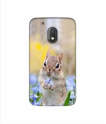 Amazon Brand - Solimo Designer Squirrel 3D Printed Hard Back Case Mobile Cover for Motorola Moto G4 Play