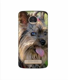 Amazon Brand - Solimo Designer Hairy Puppy 3D Printed Hard Back Case Mobile Cover for Motorola Moto Z Play